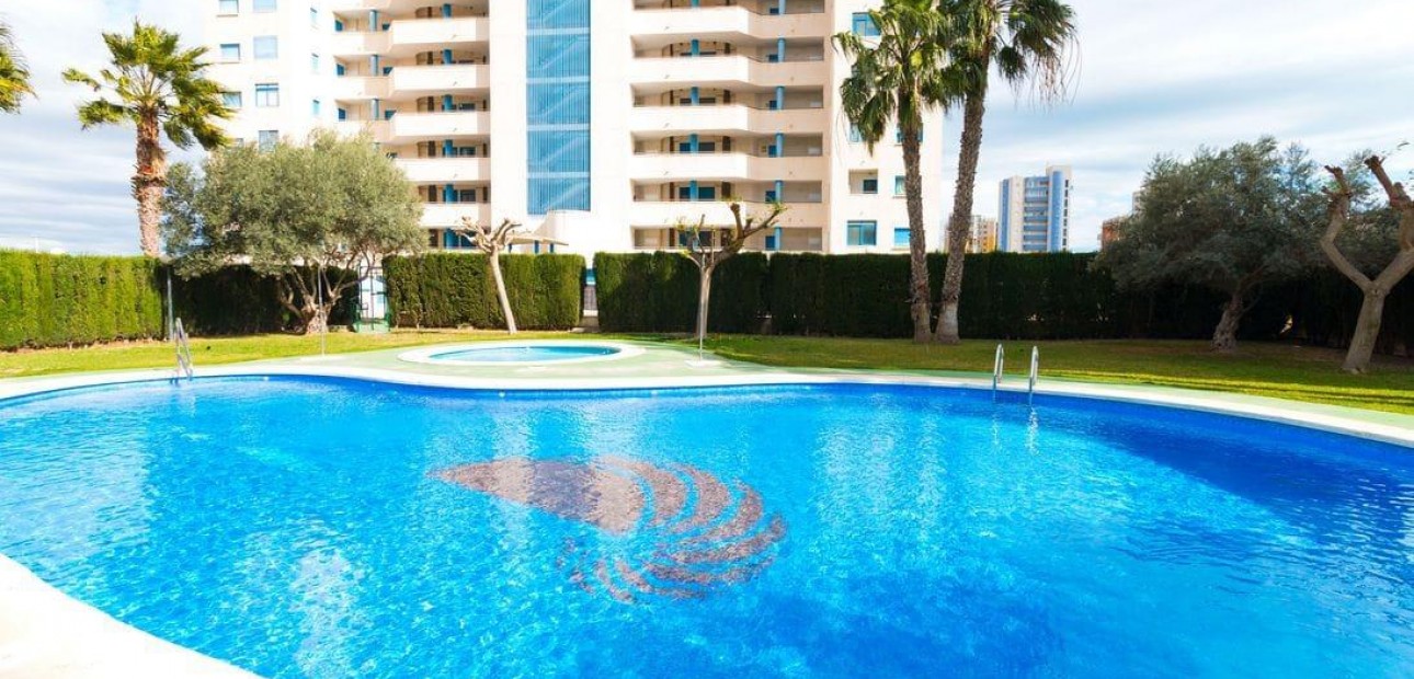 Venta - Apartamento / piso -
Guardamar del Segura - CENTRO