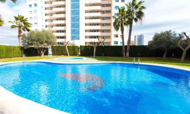 Sale - Apartment / flat -
Guardamar del Segura - CENTRO