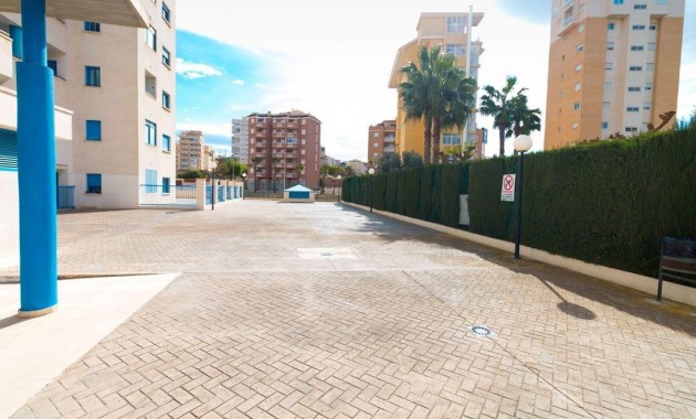 Venta - Apartamento / piso -
Guardamar del Segura - CENTRO