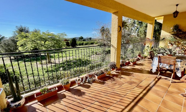 Venta - Finca / Country Property -
Daya Vieja
