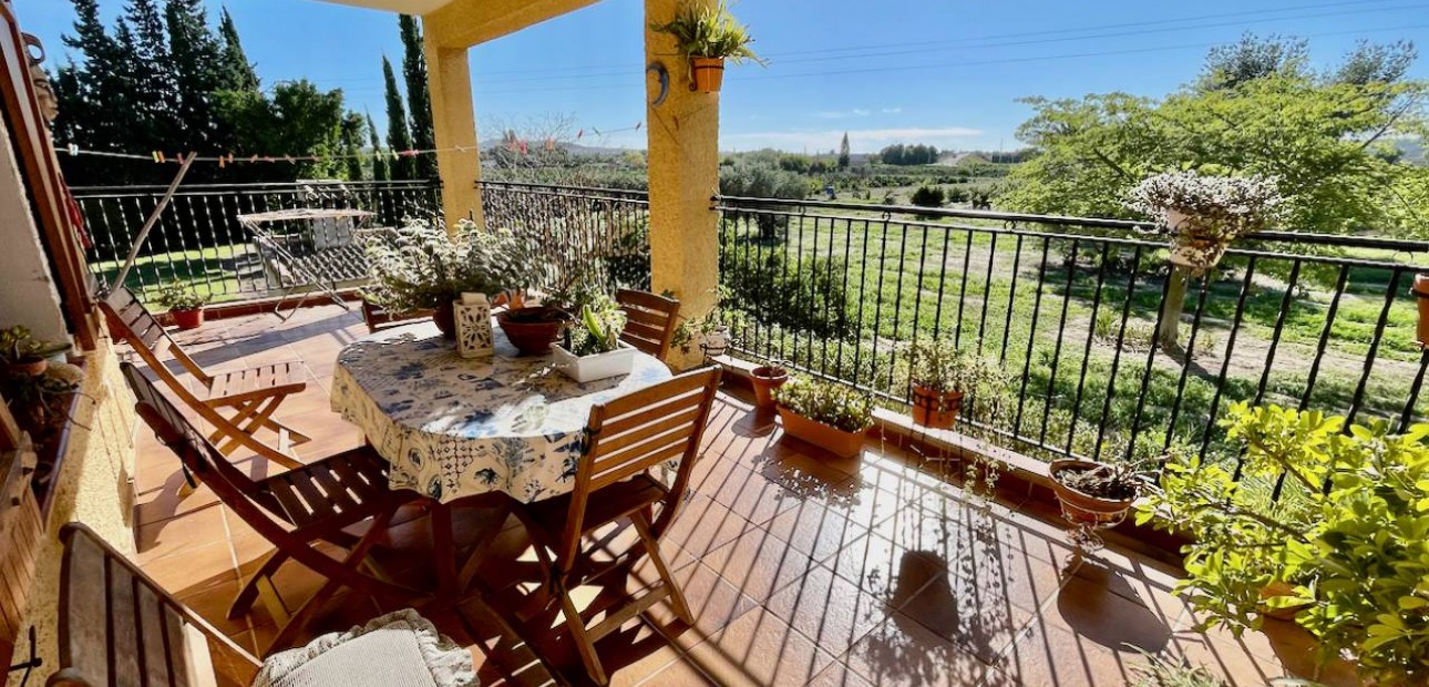 Venta - Finca / Country Property -
Daya Vieja
