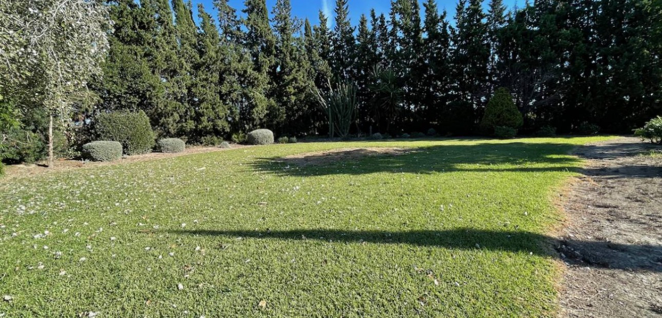 Venta - Finca / Country Property -
Daya Vieja