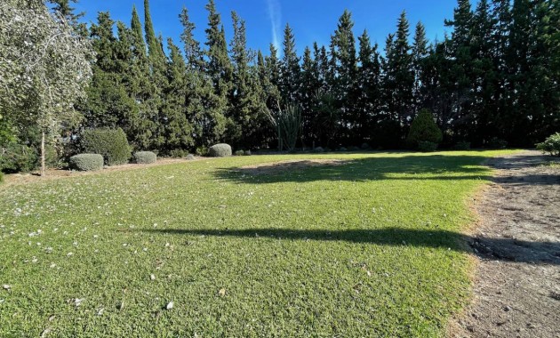 Venta - Finca / Country Property -
Daya Vieja