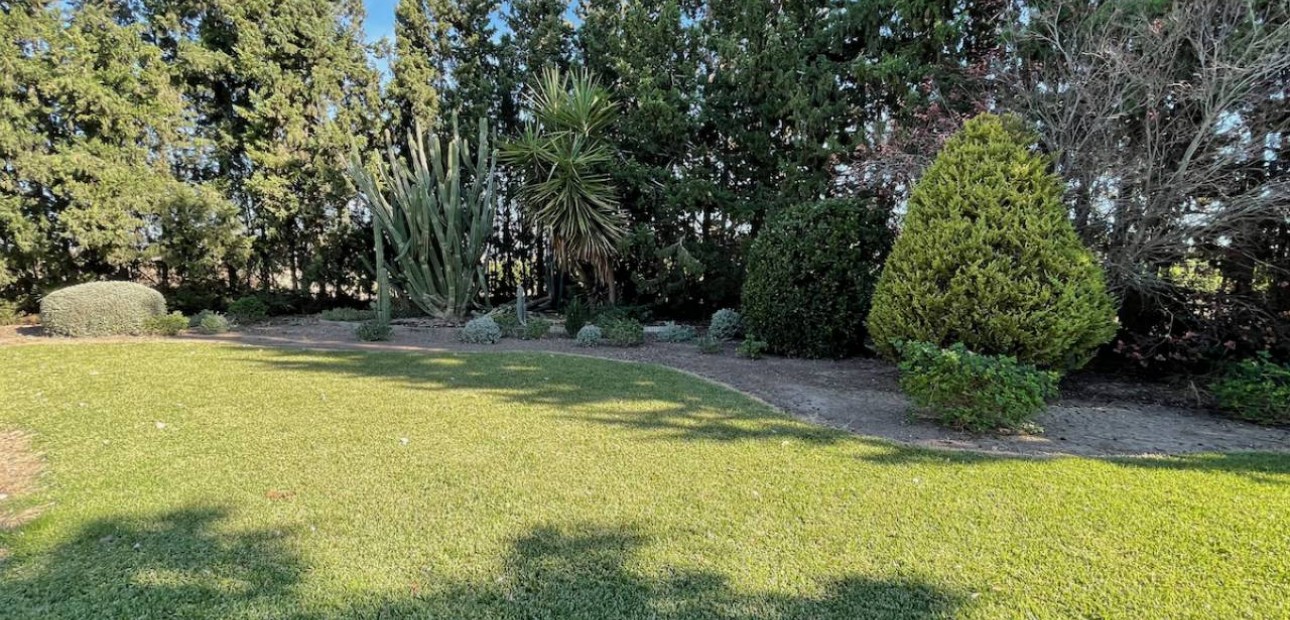 Venta - Finca / Country Property -
Daya Vieja