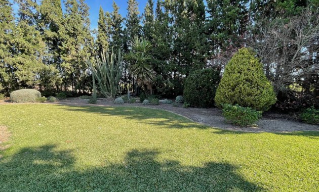 Venta - Finca / Country Property -
Daya Vieja
