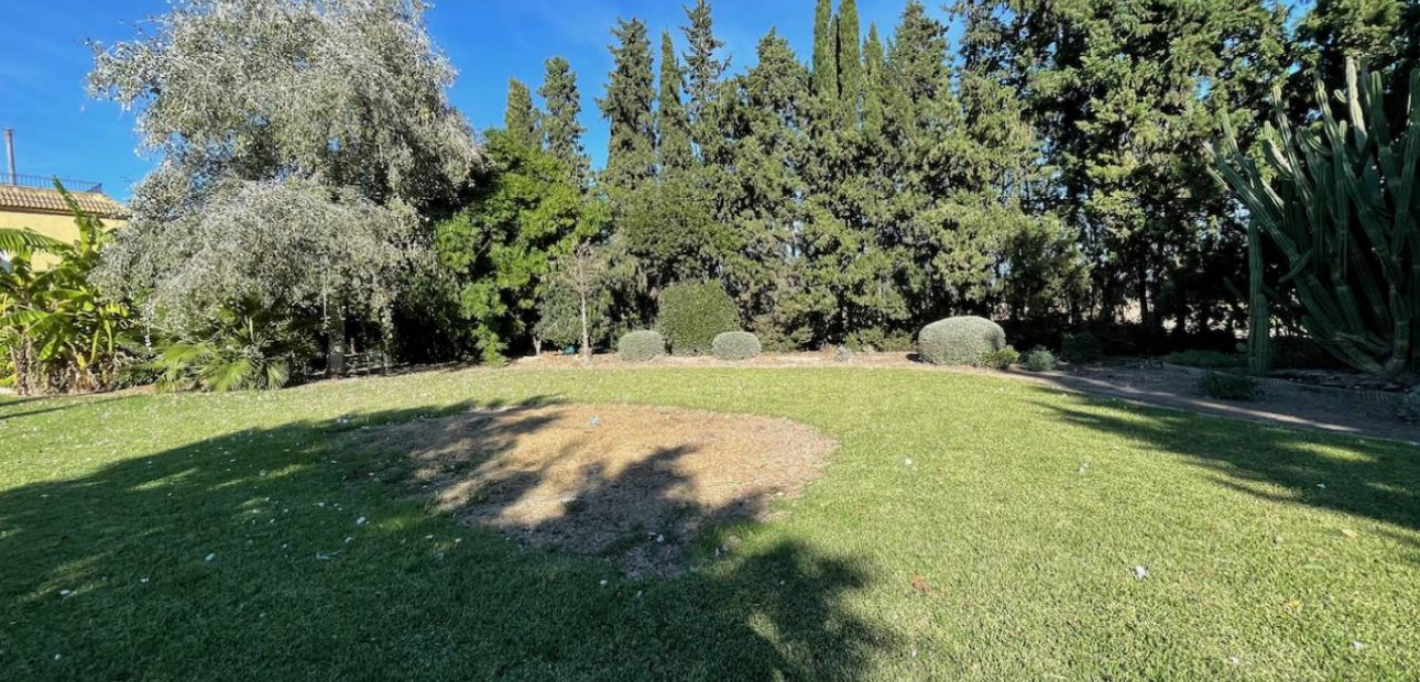 Venta - Finca / Country Property -
Daya Vieja