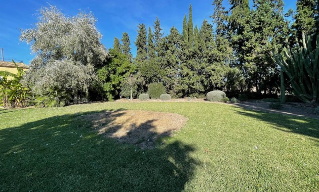 Venta - Finca / Country Property -
Daya Vieja