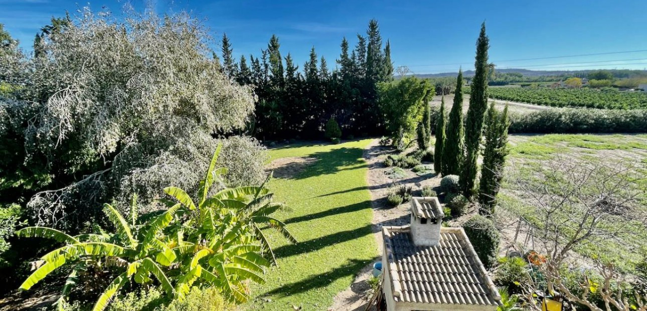 Venta - Finca / Country Property -
Daya Vieja