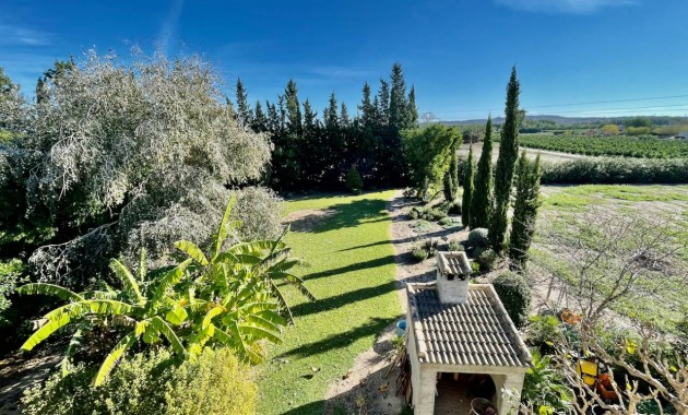 Venta - Finca / Country Property -
Daya Vieja
