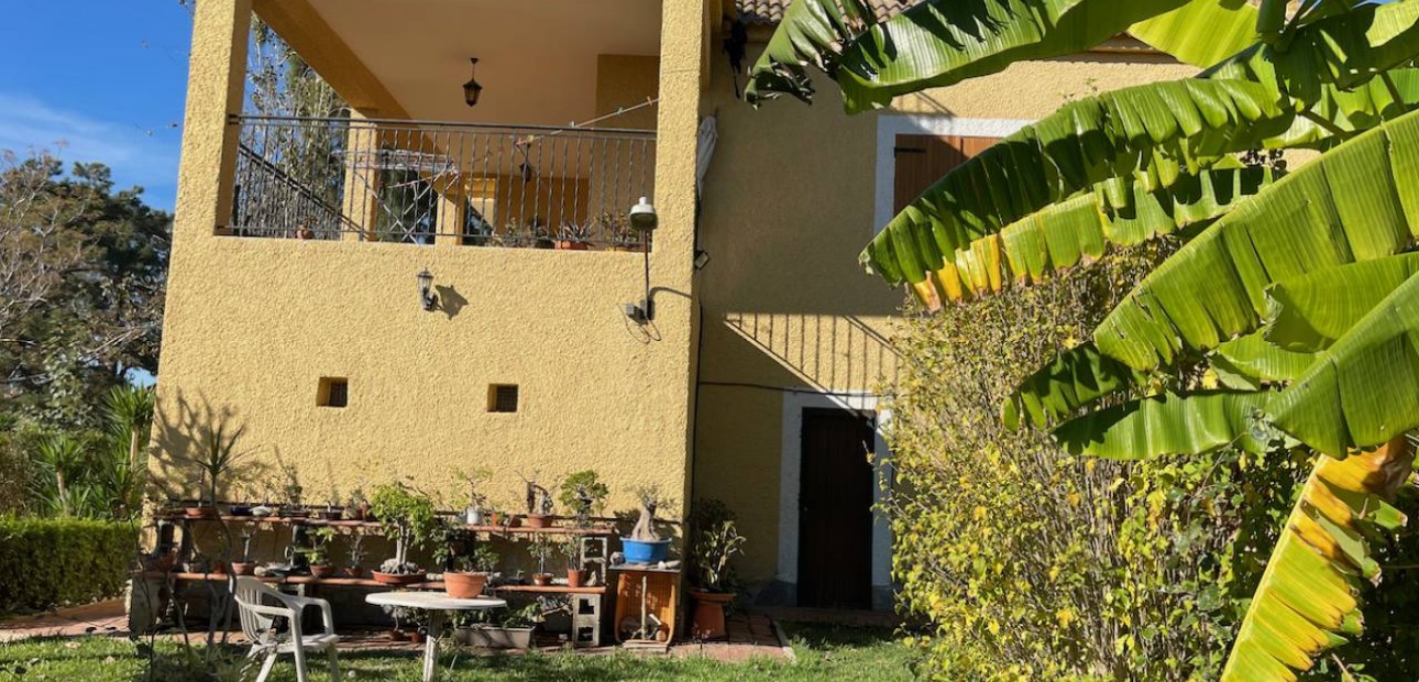 Venta - Finca / Country Property -
Daya Vieja