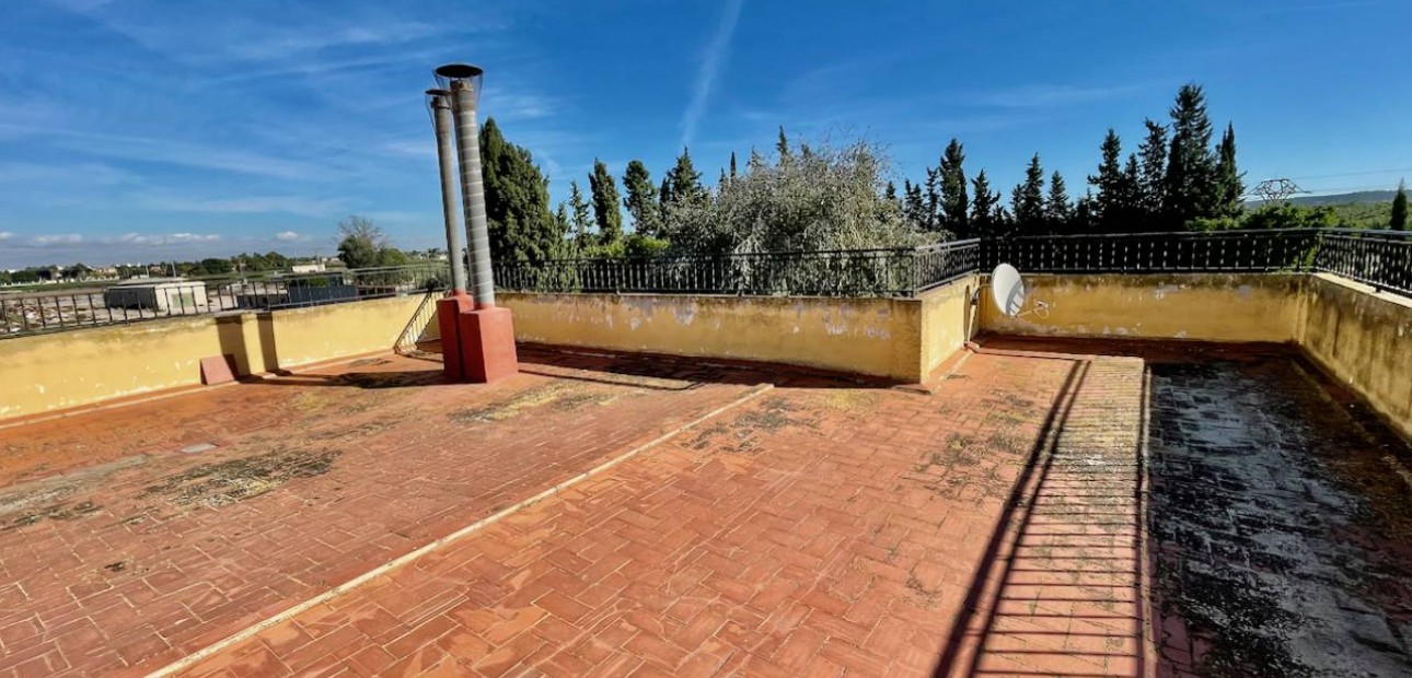 Venta - Finca / Country Property -
Daya Vieja