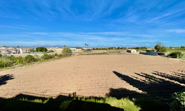 Venta - Finca / Country Property -
Daya Vieja
