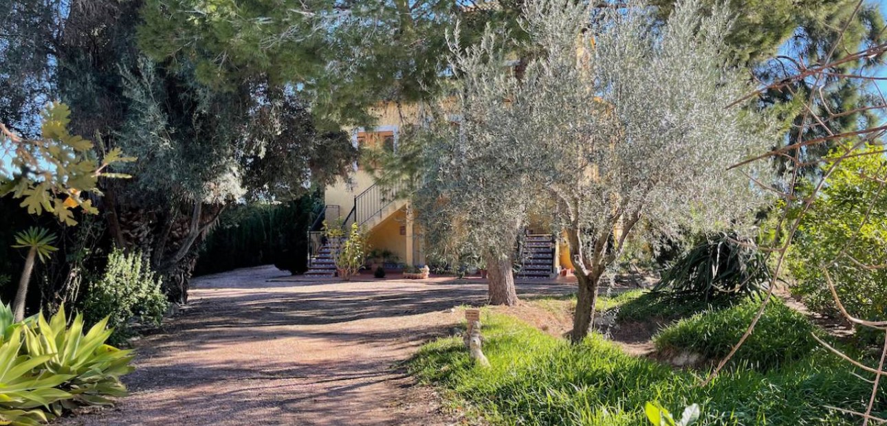 Venta - Finca / Country Property -
Daya Vieja