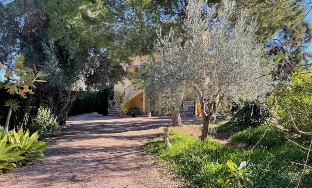 Venta - Finca / Country Property -
Daya Vieja