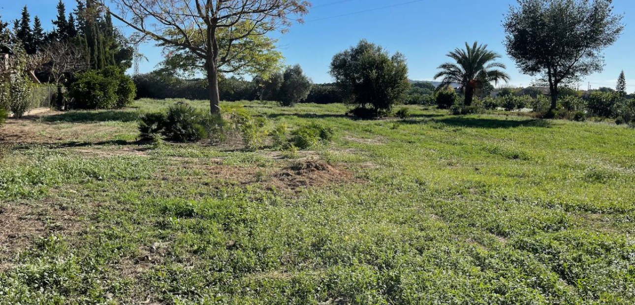 Venta - Finca / Country Property -
Daya Vieja