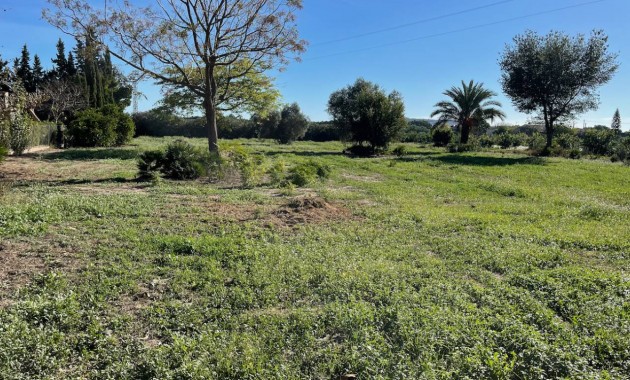 Venta - Finca / Country Property -
Daya Vieja