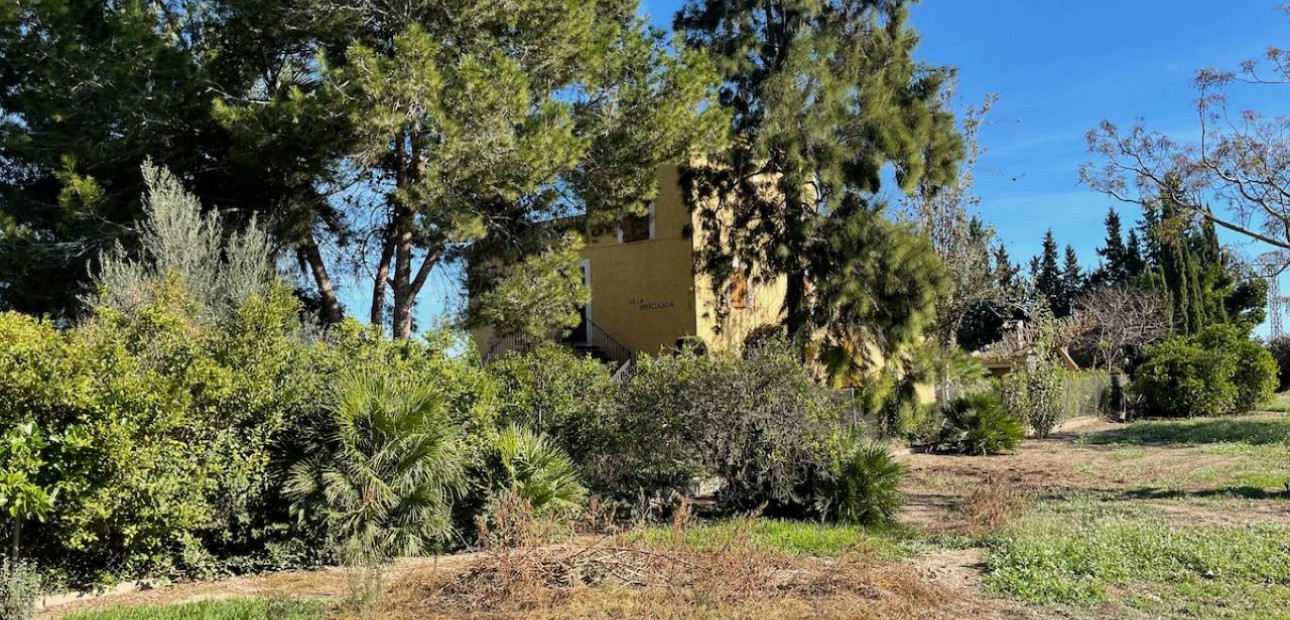 Venta - Finca / Country Property -
Daya Vieja