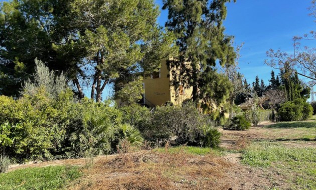 Venta - Finca / Country Property -
Daya Vieja