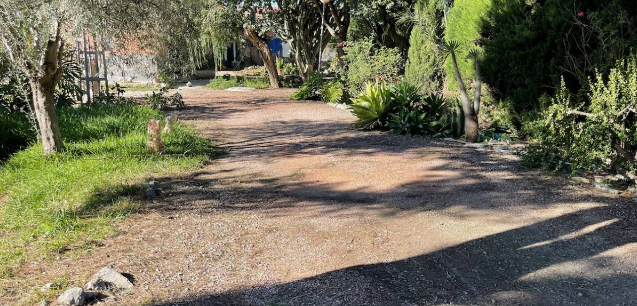 Venta - Finca / Country Property -
Daya Vieja