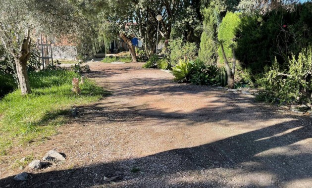 Venta - Finca / Country Property -
Daya Vieja