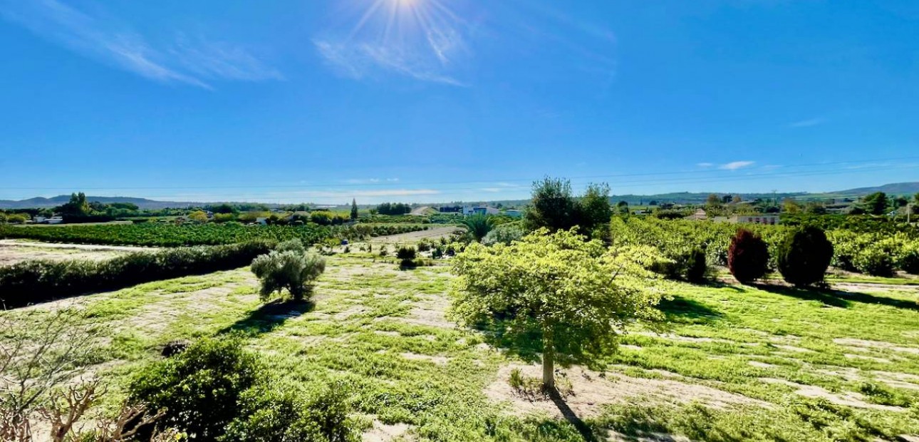 Venta - Finca / Country Property -
Daya Vieja