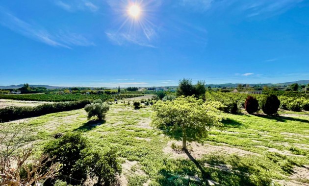 Venta - Finca / Country Property -
Daya Vieja