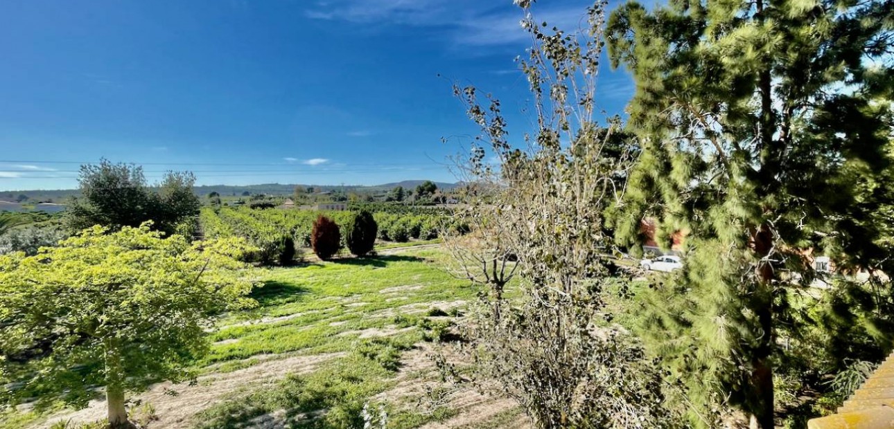 Venta - Finca / Country Property -
Daya Vieja