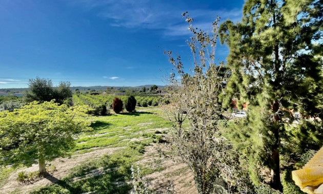 Venta - Finca / Country Property -
Daya Vieja
