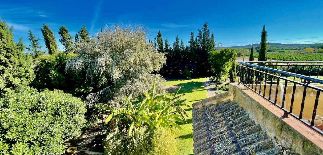 Venta - Finca / Country Property -
Daya Vieja