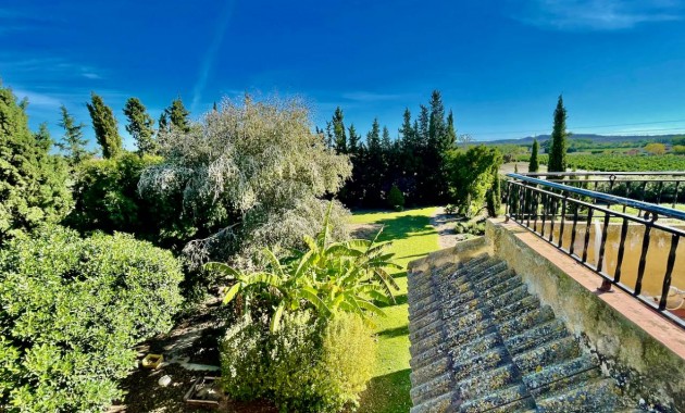 Venta - Finca / Country Property -
Daya Vieja