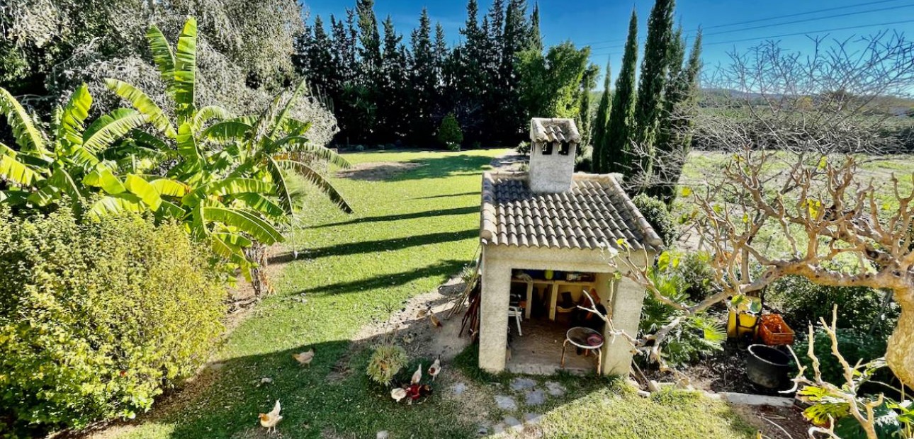 Venta - Finca / Country Property -
Daya Vieja