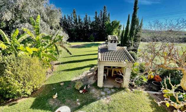 Venta - Finca / Country Property -
Daya Vieja