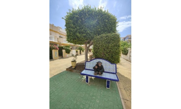 Sale - Apartment / flat -
Orihuela Costa - Campoamor