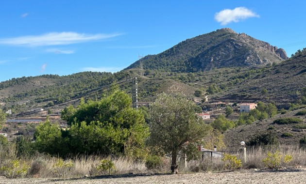 Sale - Villa -
Hondón de los Fráiles