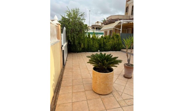 Sale - Villa -
Guardamar del Segura - raso