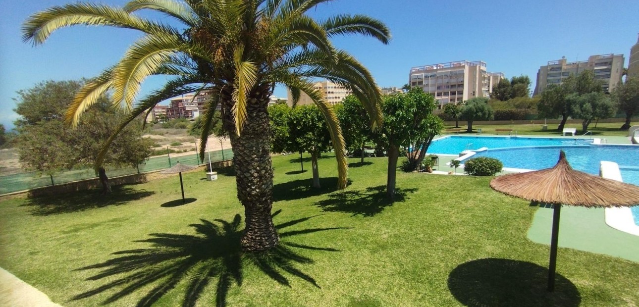 Herverkoop - Bungalow -
Torrevieja - Torreblanca