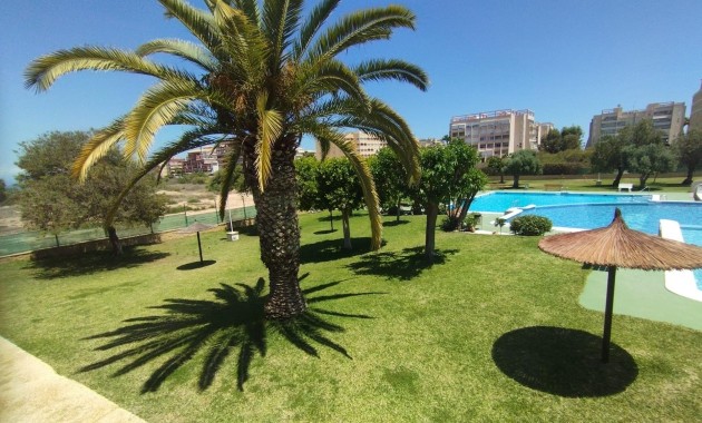 Herverkoop - Bungalow -
Torrevieja - Torreblanca