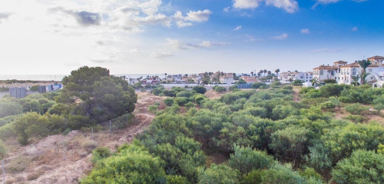 New Build - Apartment / flat -
Orihuela Costa - Playa Flamenca