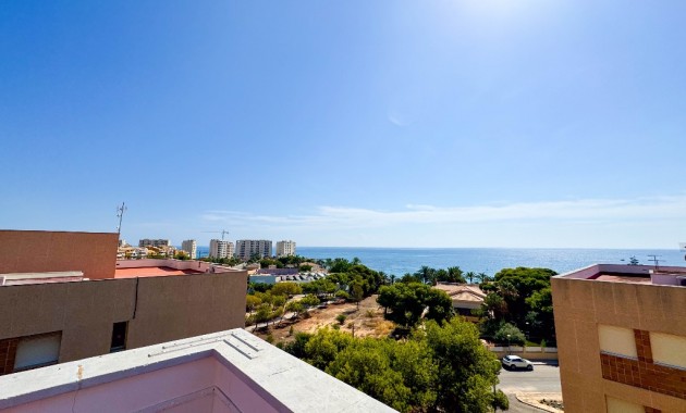 Sale - Apartment / flat -
Punta Prima