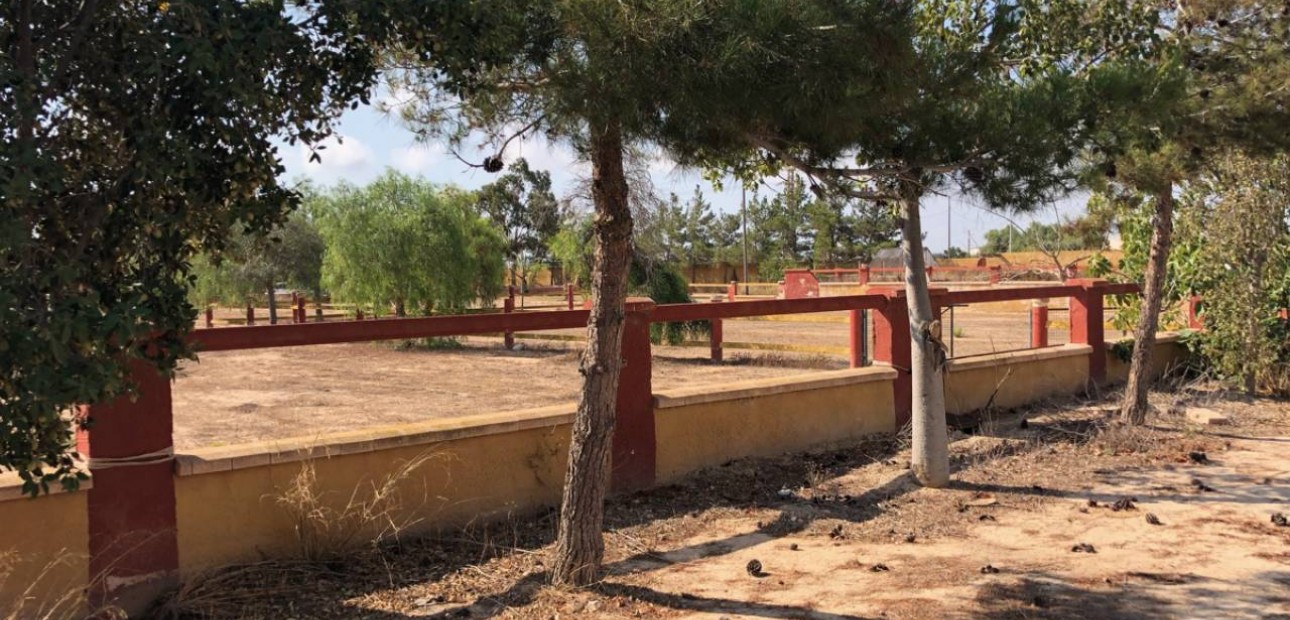 Sale - Finca / Country Property -
Los Montesinos
