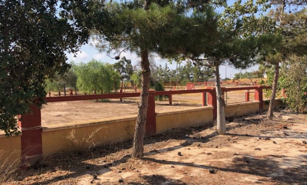 Sale - Finca / Country Property -
Los Montesinos