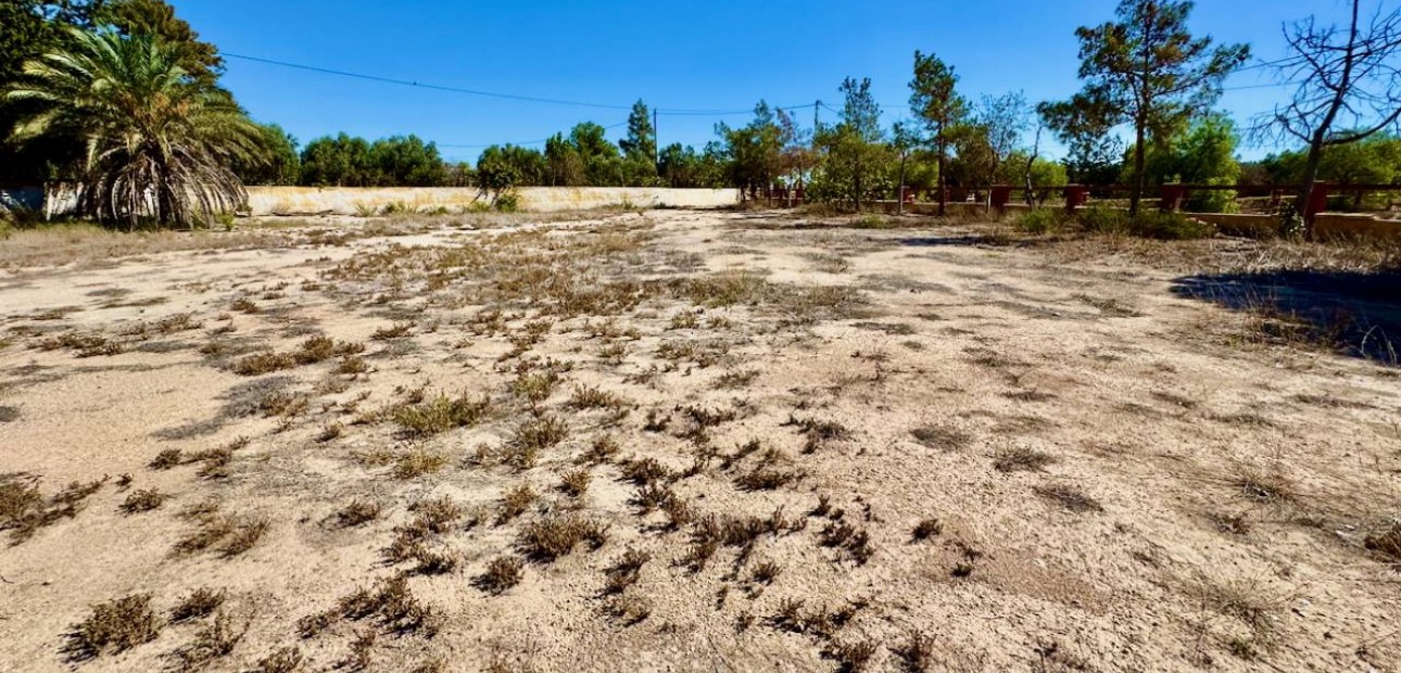 Sale - Finca / Country Property -
Los Montesinos