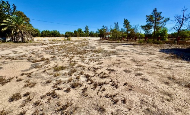 Sale - Finca / Country Property -
Los Montesinos