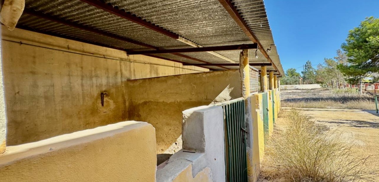 Sale - Finca / Country Property -
Los Montesinos