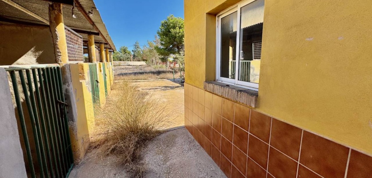 Sale - Finca / Country Property -
Los Montesinos