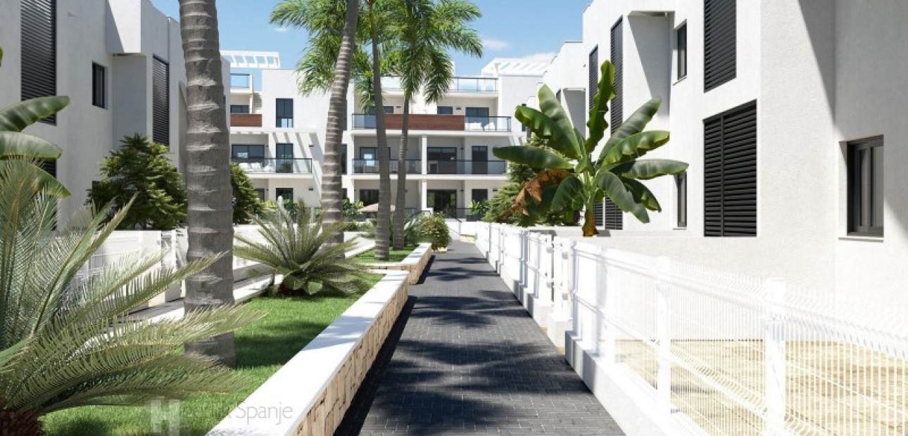 New Build - Bungalow -
Torrevieja - Pilar de la Horadada