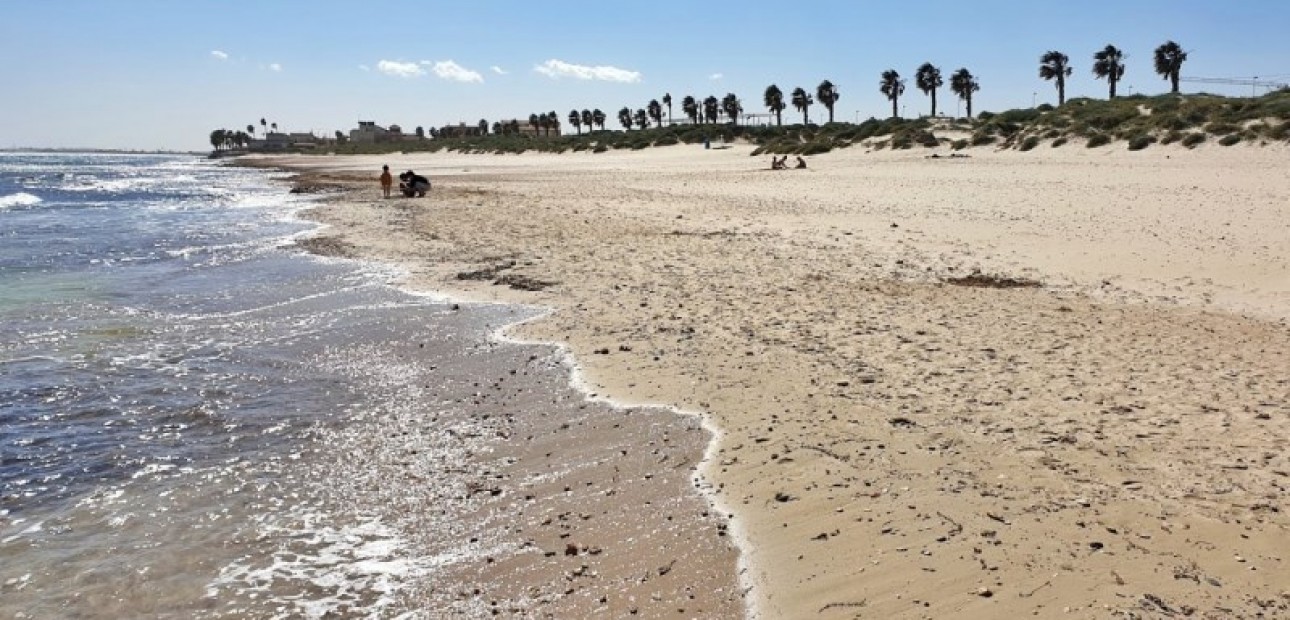 Nieuwbouw - Bungalow -
Torrevieja - Pilar de la Horadada