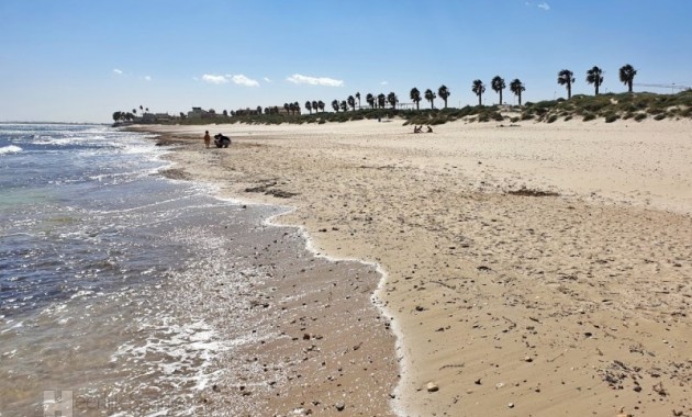 Nieuwbouw - Bungalow -
Torrevieja - Pilar de la Horadada