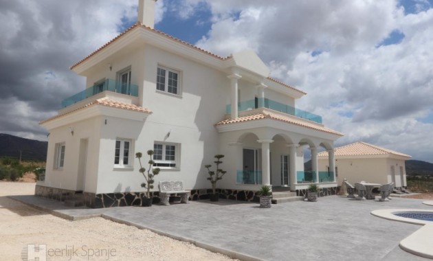 Nueva construcción  - Villa -
Pinoso - el Pinós / Pinoso