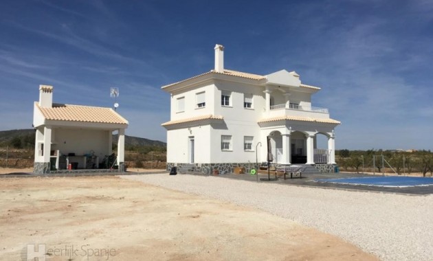 New Build - Villa -
Pinoso - el Pinós / Pinoso